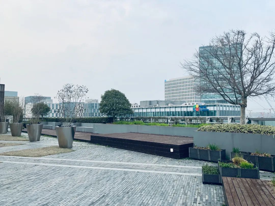 1666681899660713YPPc.jpg 實(shí)習(xí)內(nèi)外 · AECOM|探訪上海花園文化實(shí)踐,從屋頂花園更新到社區(qū)花園節(jié)9.jpg