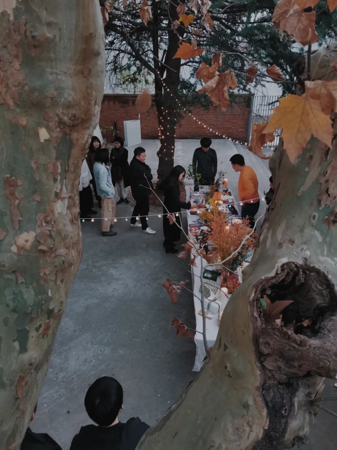 職場萌新指南 · 大舍建筑｜“即物即境”：二十年詩理哲學的建筑實踐22.jpg