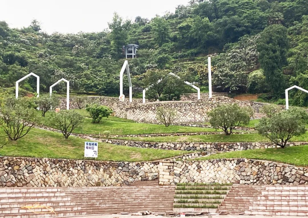 1685614376274286nlO6.jpg 10020.jpg
