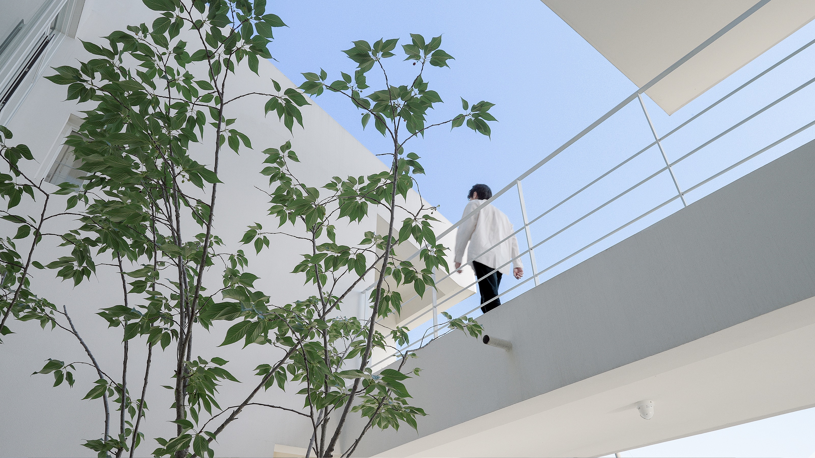 5-05 二層連廊 2nd Floor Passage?WM STUDIO.jpeg