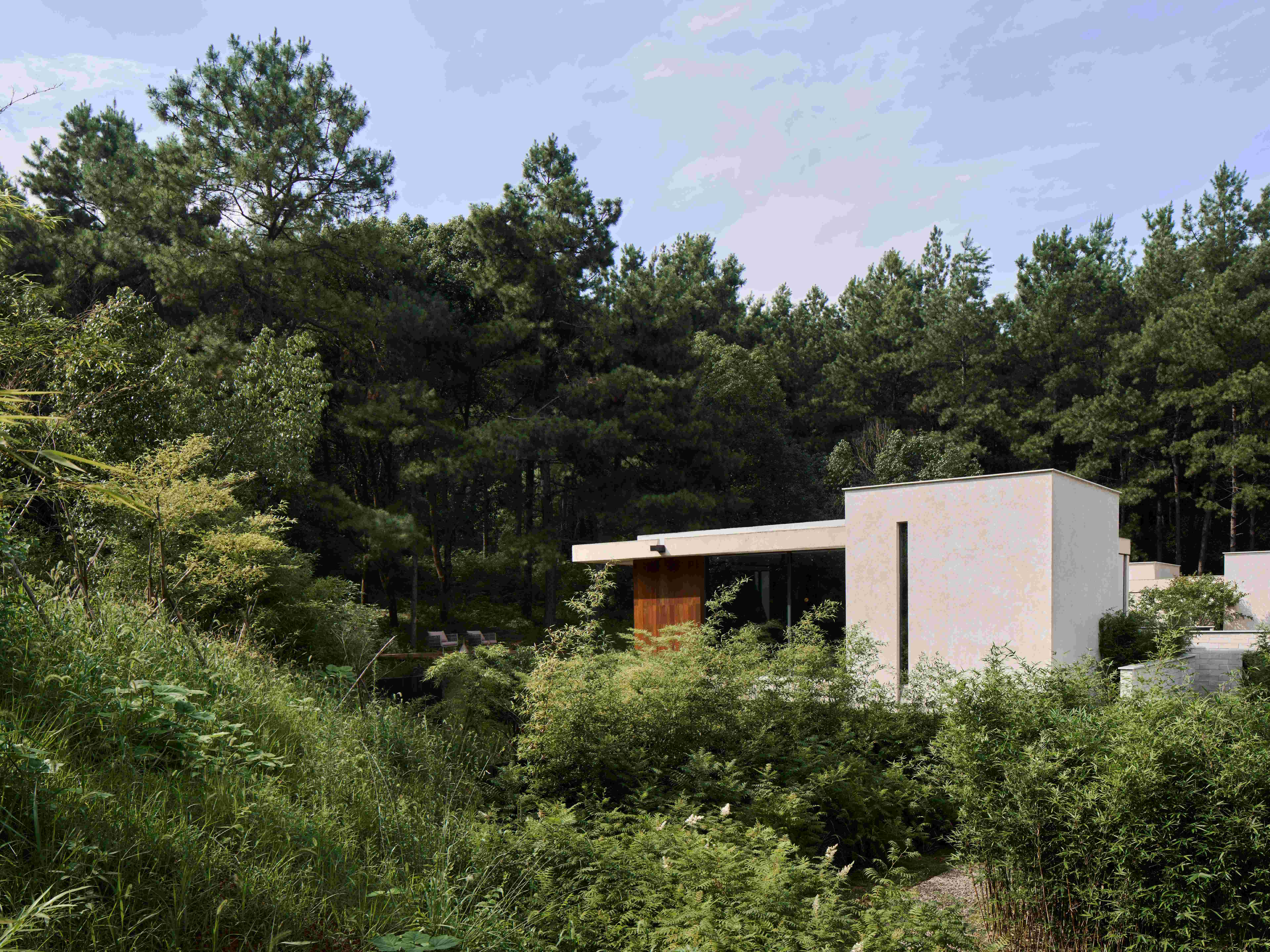 1749622925886008eLWa.jpg 04 Anadu Pine Villa?Seth Powers.jpg