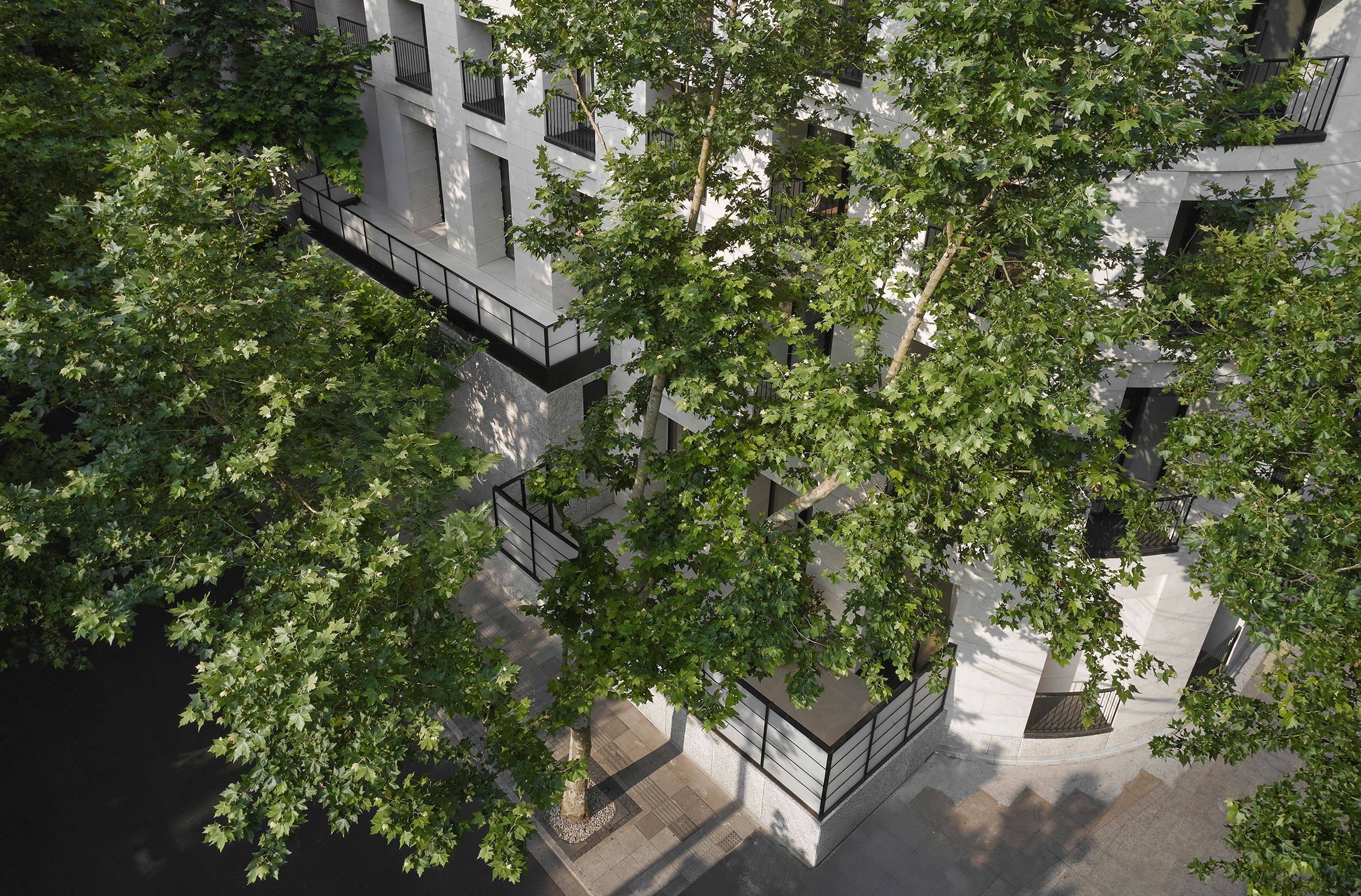 1750408142462708fl6f.jpg W.DESIGN無間設計_藏家公館 Collector's Mansion_02.jpg