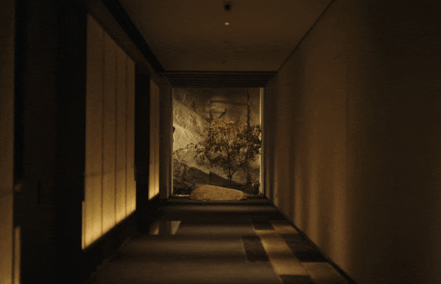 xmyeditor_61.gif